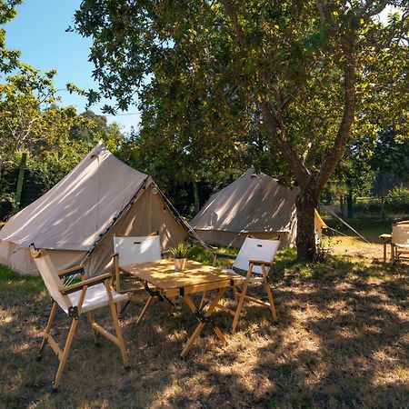 Hotel Kampaoh Ancora à Vila Praia de Âncora Extérieur photo